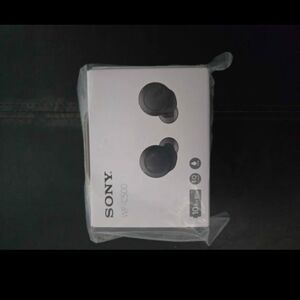 Sony WF-C500 Wireless In-Ear Headphones with Charging Case, Bluetooth